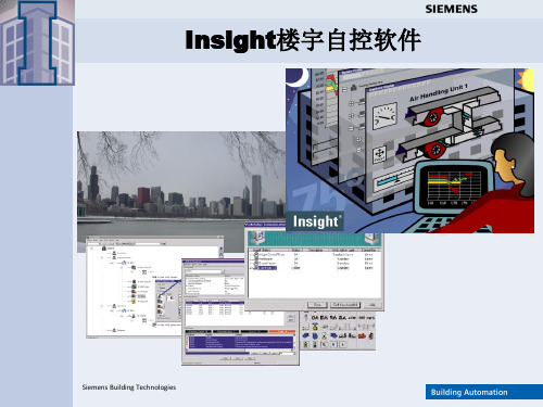 Insight软件介绍