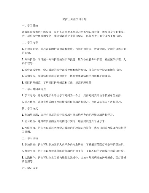 派护士外出学习计划