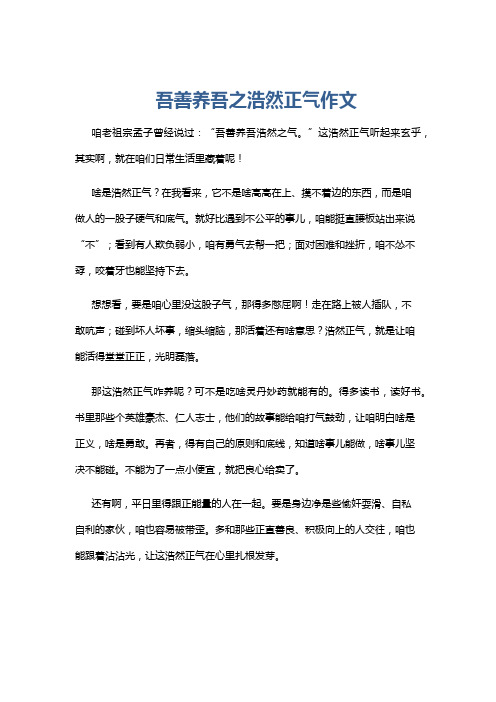 吾善养吾之浩然正气作文