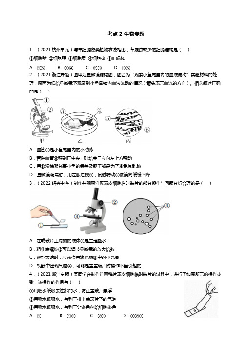 易错考点生物专题1-浙教版七年级上册科学