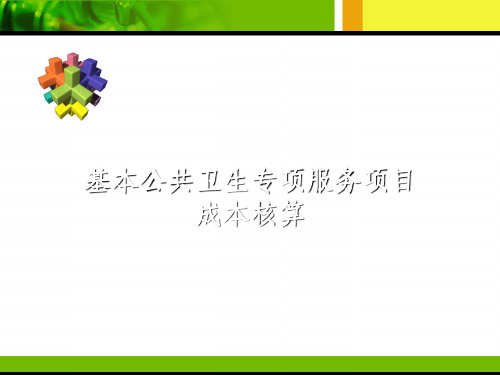 基本公共卫生专项服务项目成本核算ppt课件