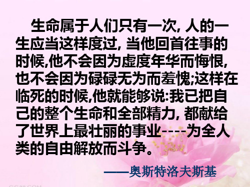 七年级政治下册第六课第二框《钢铁是这样炼成的》课件3