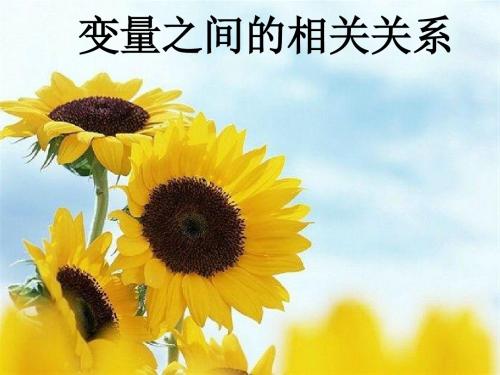 人教版数学必修三2.3变量间的相关关系 课件