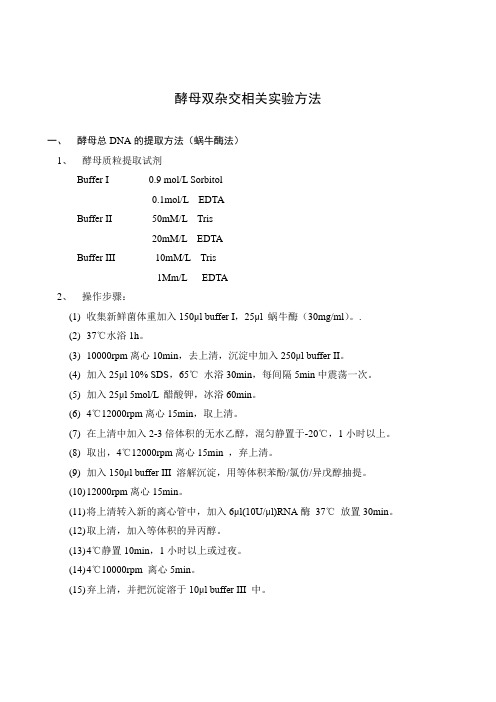 酵母双杂交实验