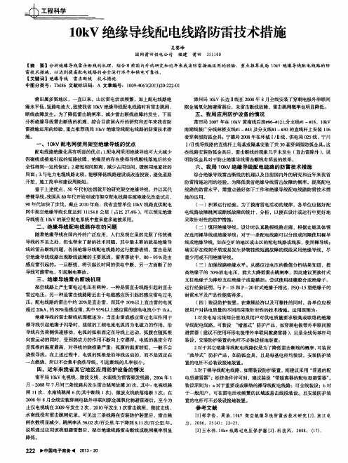 10kV绝缘导线配电线路防雷技术措施