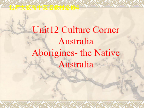 北师大英语必修4unit 12Culture Corner    教学ppt课件(18张)