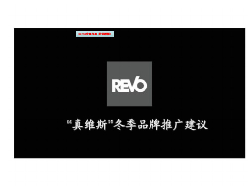 kpmg全套内部_培训教程3