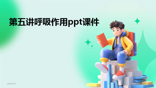 第五讲呼吸作用ppt课件(2024)