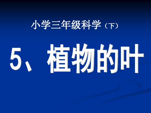 三年级上册科学课件-1.5植物的叶 教科版(共17张PPT)