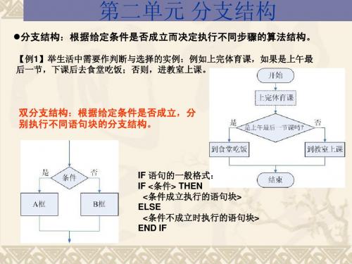 分支结构