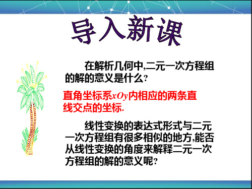 2.2 二元一次方程组的矩阵解法