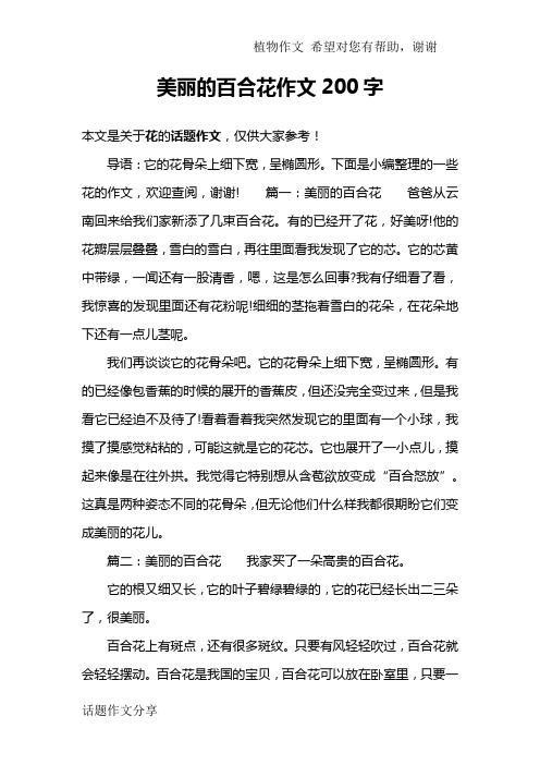 美丽的百合花作文200字