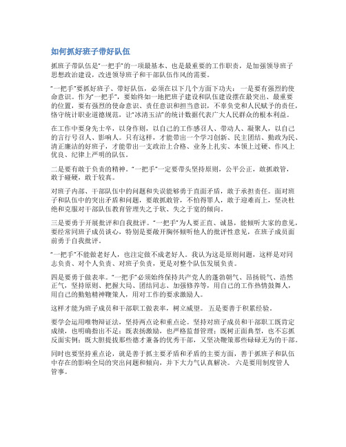 抓班子带队伍范文