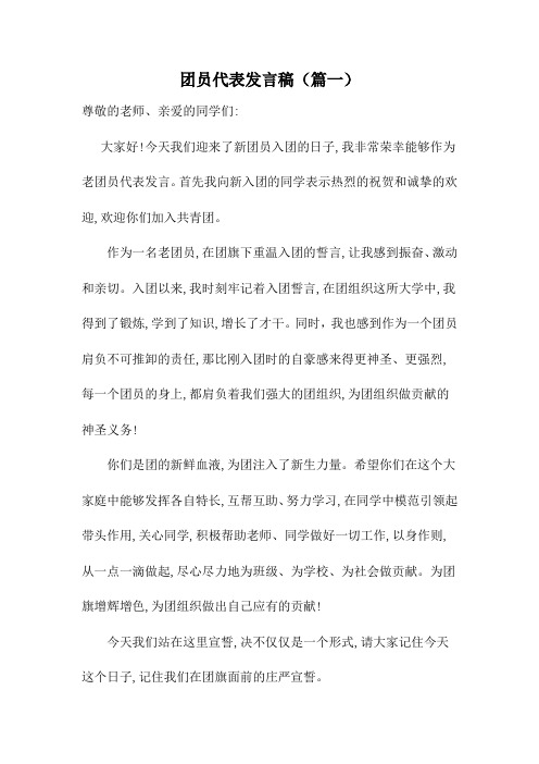 团员代表发言稿