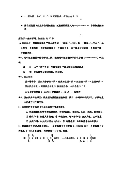 蛋白质的知识点