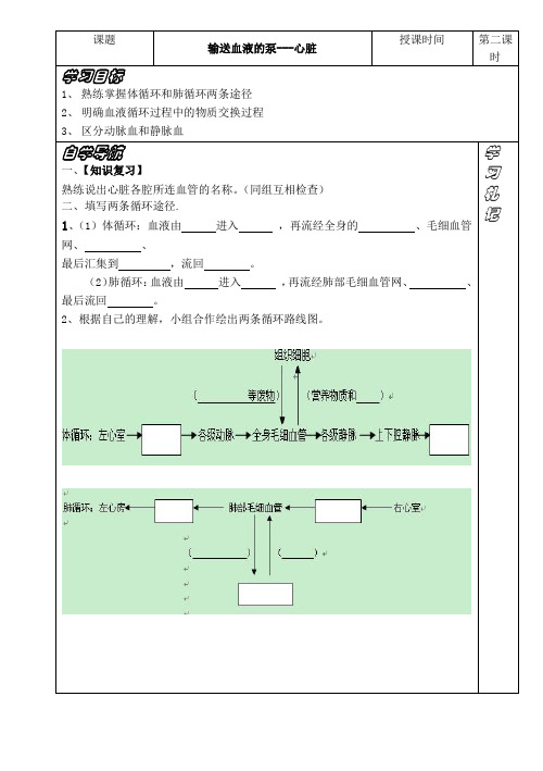 浙教版九年级科学上册 4.3体内物质的运输——心脏学案