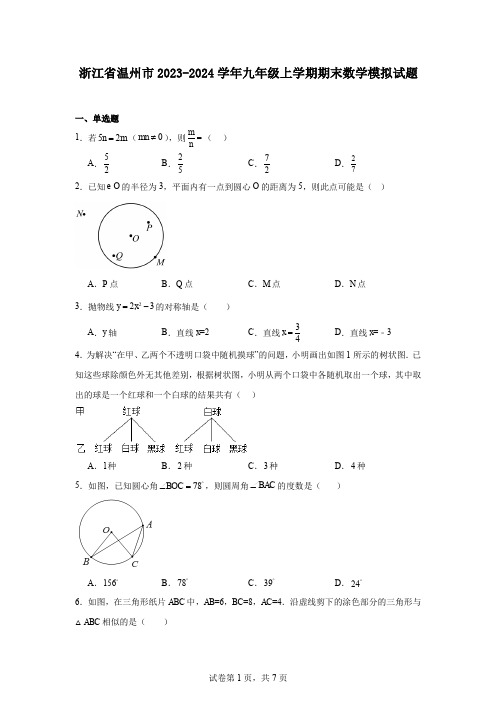 浙江省温州市2023-2024学年九年级上学期期末数学模拟试题