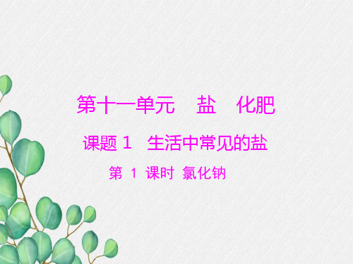 《 氯化钠》课件(公开课)2022年人教版 