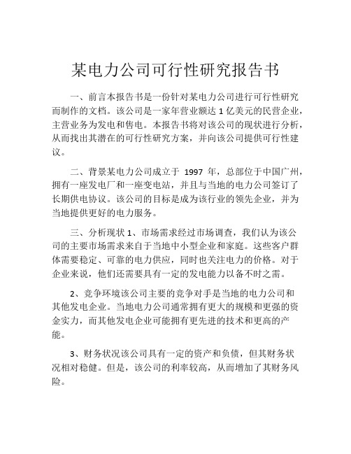 某电力公司可行性研究报告书