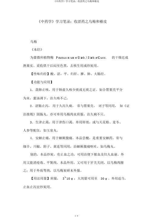 《中药学》学习笔记：收涩药之乌梅和椿皮