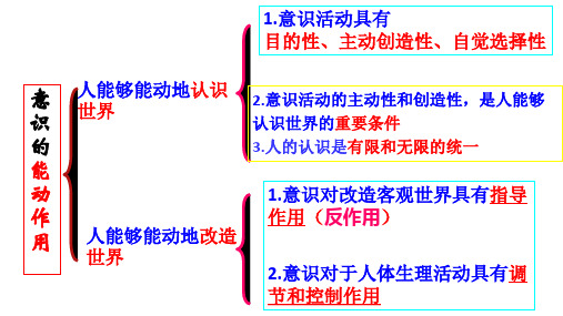 《人的认识从何而来》课件