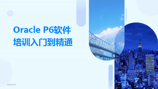 Oracle P6软件培训入门到精通