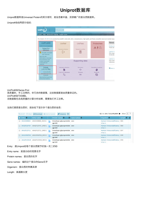 Uniprot数据库