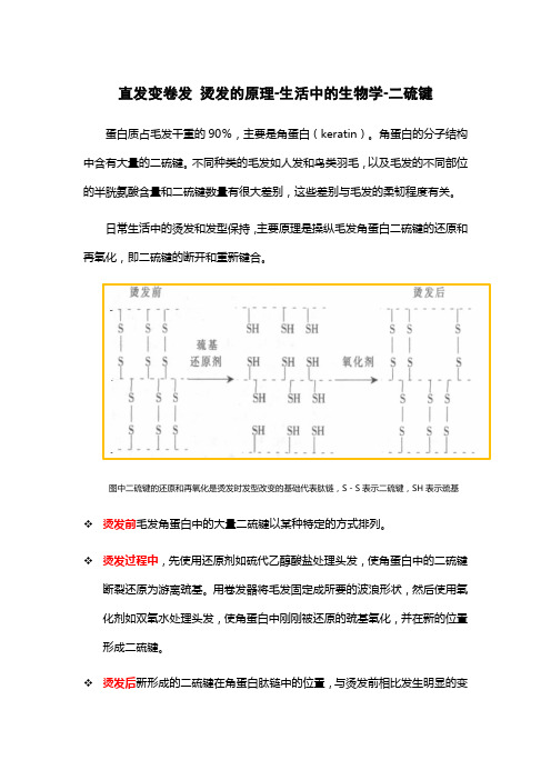 直发变卷发 烫发的原理-生活中的生物学-二硫键