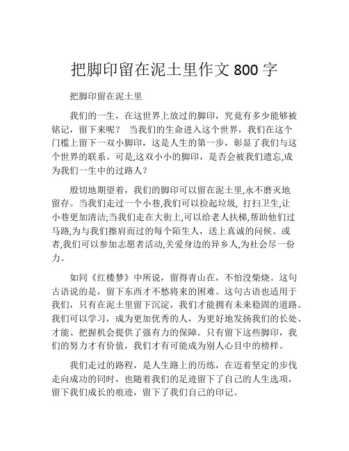 把脚印留在泥土里作文800字 (2)