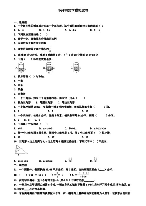 〖精选4套试卷〗宜宾市名校2020年小升初教学质量检测模拟试题