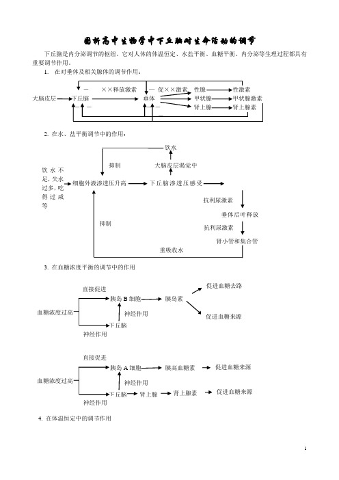 下丘脑的作用