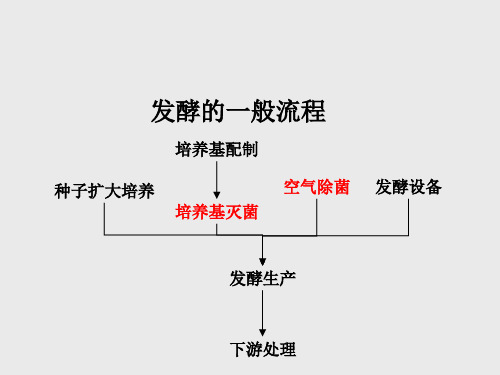 灭菌及无菌空气的制备