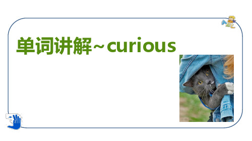 3.2.3curious 刘孟帅