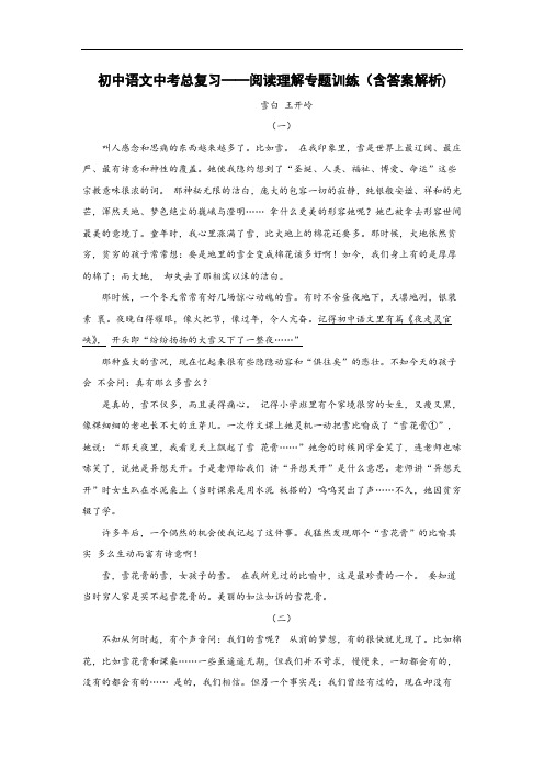 初中语文中考总复习阅读理解专题训练(王开岭雪白)