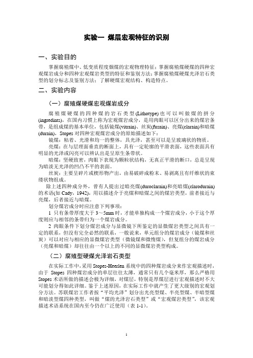 实验一 煤层宏观特征的识别【中国矿业大学《煤层气地质学》(傅教授课件)】