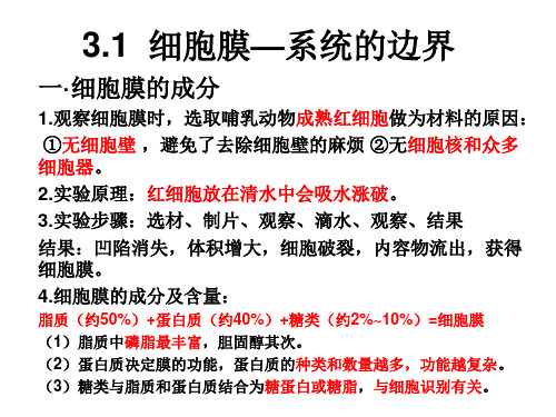 高一生物必修一第三章第一节 细胞膜—系统的边界 笔记