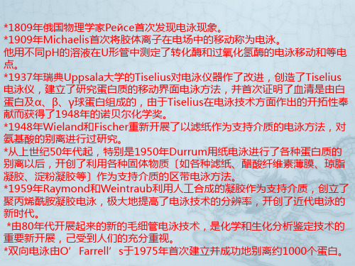 双向电泳技术和实验流程