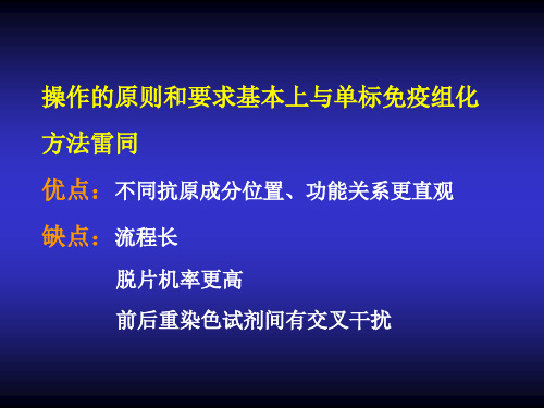 免疫组化4双重或多重标记