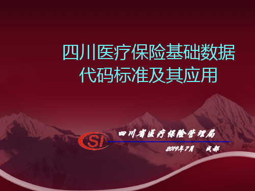 四川医疗保险基础数据代码标准及其应用-精品文档