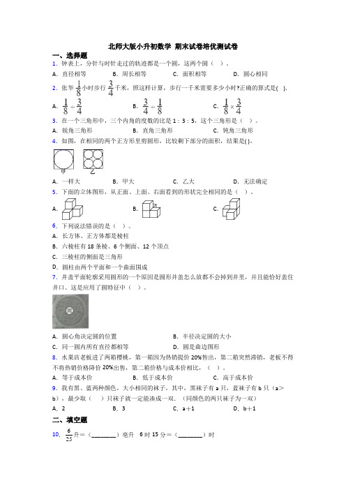 北师大版小升初数学 期末试卷培优测试卷