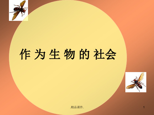 培训课件《作为生物的社会》优秀课件.ppt