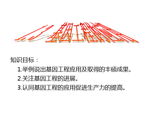 人教版高中生物选修三课件：1.3 基因工程的应用 (共10张PPT)