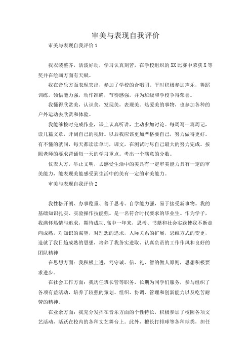 审美与表现自我评价