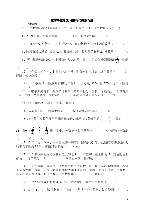 人教版数学六年级下册：《数与代数》练习题整理