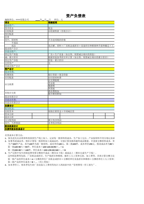 创业之星三张财务报表格式及说明