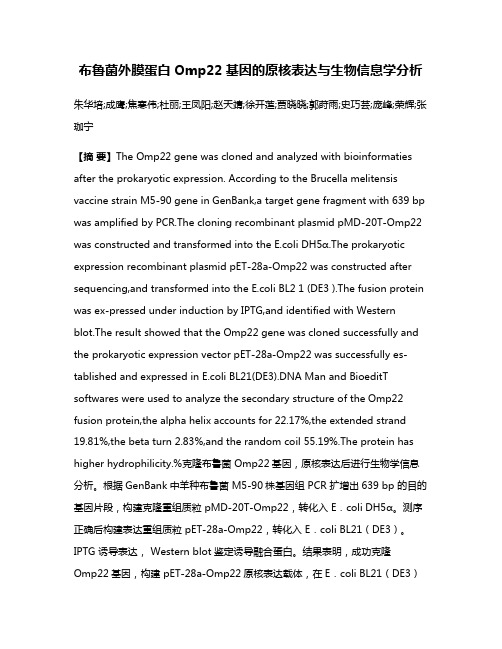 布鲁菌外膜蛋白Omp22基因的原核表达与生物信息学分析