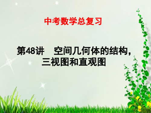 2021年中考数学总复习——第48讲 空间几何体的结构,三视图和直观图