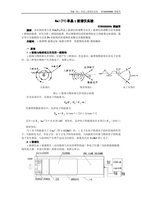 NaIT1单晶γ能谱仪试验07300300096郭丽芳NaIT1单晶γ能谱仪