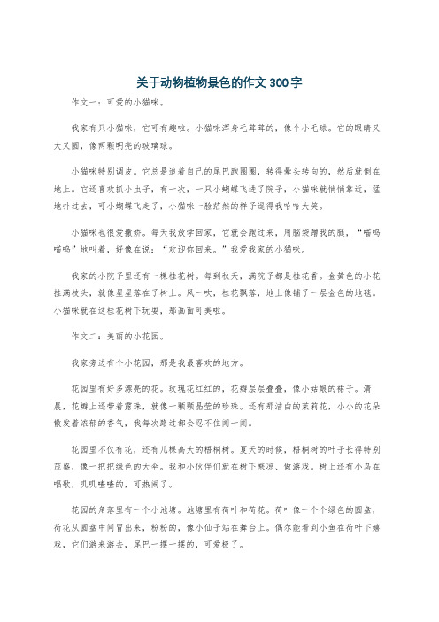 关于动物植物景色的作文300字