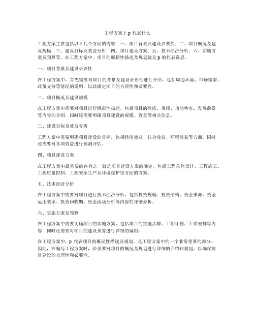 工程方案上p代表什么